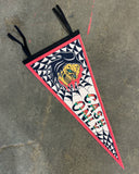 Cash Only Reaper Pennant