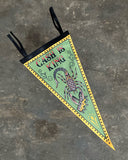 Cash is King Pennant Banner